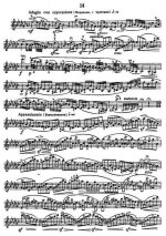 Роде П. 24 каприса_Страница_03.jpg