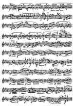 Роде П. 24 каприса_Страница_04.jpg