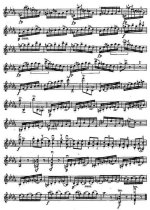 Роде П. 24 каприса_Страница_06.jpg