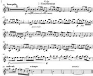 Селени И. Три пьесы для скрипки и фортепиано_Страница_10.jpg