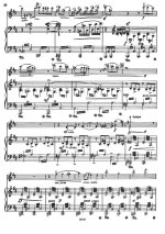 Сибелиус Я. 2 серенады для скрипки и фортепиано_Страница_09.jpg