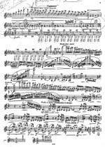 Сибелиус Я. Концерт для скрипки_Страница_03.jpg