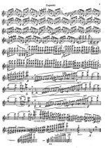 Сибелиус Я. Концерт для скрипки_Страница_07.jpg