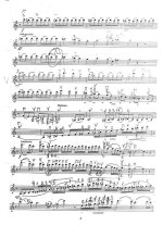 Скорик М. Карпатская рапсодия_Страница_16.jpg