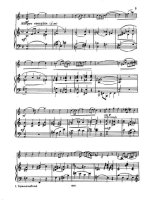 Страннолюбский Б. Концерт для скрипки_Страница_03.jpg