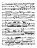 Сук Й. Фантазия для скрипки и фортепиано op.24_Страница_08.jpg