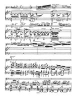 Сук Й. Фантазия для скрипки и фортепиано op.24_Страница_09.jpg