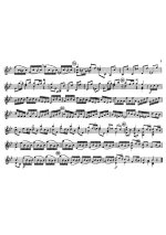 Телеман Г. 12 фантазий для скрипки соло_Страница_09.jpg