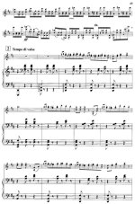 Фихтенгольц М. Парафраз на темы вальсов И.Штрауса_Страница_09.jpg