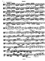 Хальворсен Ю. Вариации на тему Пассакалии Генделя для скрипки и альта_Страница_5.jpg