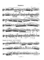 Хандошкин И. Соната для скрипки с басом_Страница_03.jpg