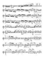 Харрингтон Д. Соната для скрипки соло_Страница_02.jpg