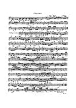 Хоффмайстер. Шесть дуэтов для скрипки и альта_Страница_07.jpg