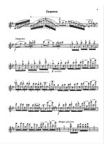 Цимбалист Е. Фантазия на темы из оперы 'Золотой Петушок_Страница_07.jpg