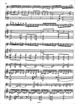 Цинцадзе С. Поэма, Леман - Маленькая концертная сюита для скрипки_Страница_10.jpg