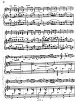 Цинцадзе С. Сачидао_Страница_1.jpg