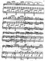 Цинцадзе С. Сачидао_Страница_4.jpg