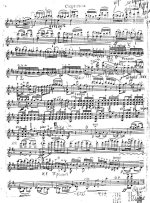 Цинцадзе С. Сачидао_Страница_8.jpg