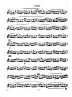 Чайковский Б. Концерт для скрипки_Страница_006.jpg