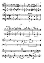 Черепнин А. Дуэт для скрипки и виолончели_Страница_09.jpg