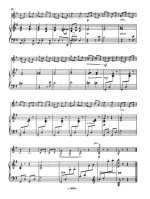 Шольц П. Непрерывное движение_Страница_1.jpg