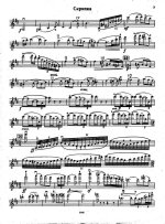 Шоссон Э. Поэма_Страница_06.jpg