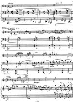 Шостакович Д. Концерт №1 для скрипки_Страница_007.jpg