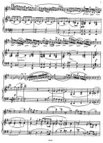 Шпор Л. Концерт №7_Страница_05.jpg