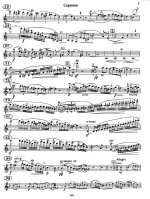 Шпор Л. Концерт №8_Страница_02.jpg