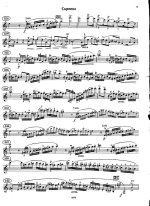 Шпор Л. Концерт №8_Страница_08.jpg