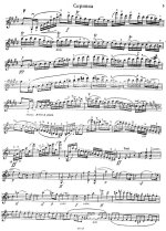 Шпор Л. Концерт №9_Страница_05.jpg