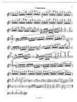 Шпор Л. Концерт №11_Страница_05.jpg