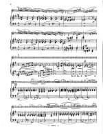 Шпор Л. Концерт №11_Страница_08.jpg