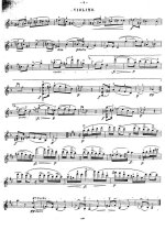 Шпор Л. Мазурка_Страница_2.jpg