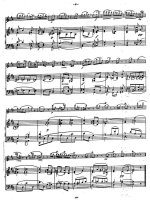 Шпор Л. Скерцо_Страница_07.jpg