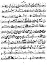 Шпор Л. Скерцо_Страница_10.jpg