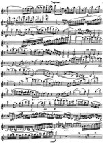 Штраус Р. Концерт для скрипки_Страница_05.jpg