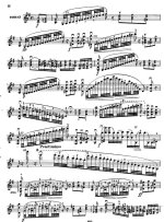 Эрнст Г. Последняя роза лета_Страница_7.jpg