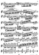 Эрнст Г. Последняя роза лета_Страница_8.jpg