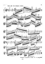 Эрнст Г. Последняя роза лета (другая редакция)_Страница_08.jpg