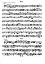 Эссек П. 30 специальных этюдов для скрипки_Страница_04.jpg