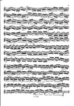 Эссек П. 30 специальных этюдов для скрипки_Страница_05.jpg