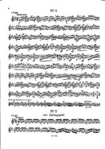 Эссек П. 30 специальных этюдов для скрипки_Страница_06.jpg