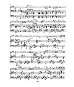 Юон П. Соната №1 для скрипки и фортепиано op.7_Страница_06.jpg