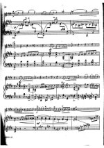 Хейфец Я. Бисы_Страница_009.jpg