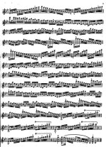 Избранные этюды для скрипки. Репертуар муз.училищ_Страница_03.jpg