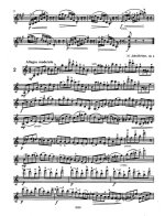 Избранные этюды, составитель и редактор Л.Аджемова_Страница_04.jpg