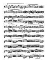 Избранные этюды, составитель и редактор Л.Аджемова_Страница_06.jpg