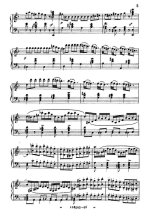 Беллини В. Адельсон и Сальвини (Adelson e Salvini)_Страница_005.jpg