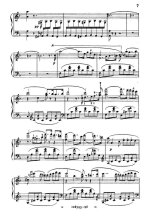 Беллини В. Адельсон и Сальвини (Adelson e Salvini)_Страница_007.jpg